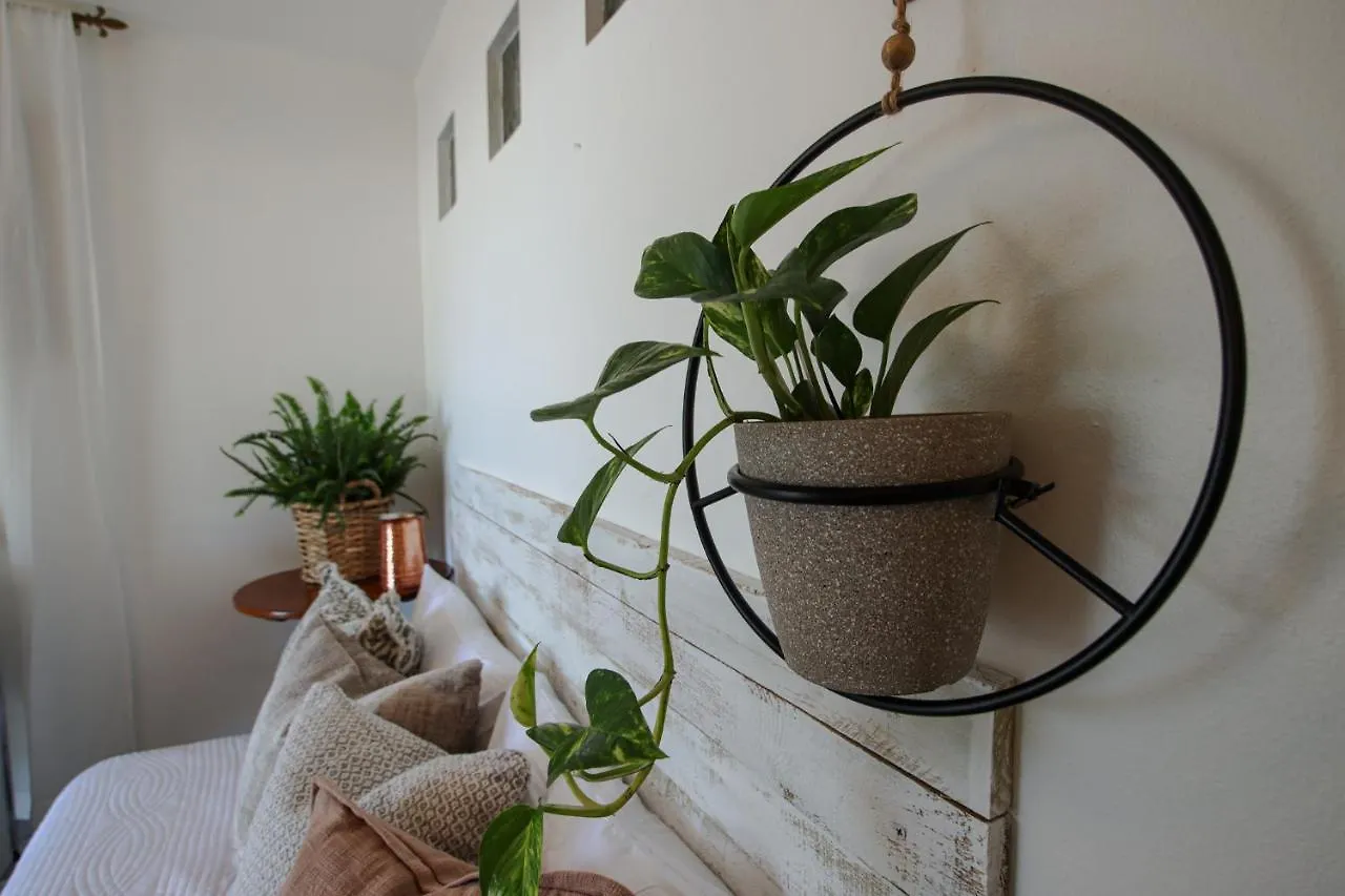 Hacienda Tres Casitas Guest House Cabo Rojo Country house